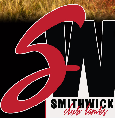 Smithwick Club Lambs